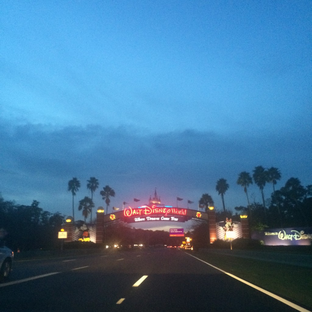 Walt Disney World